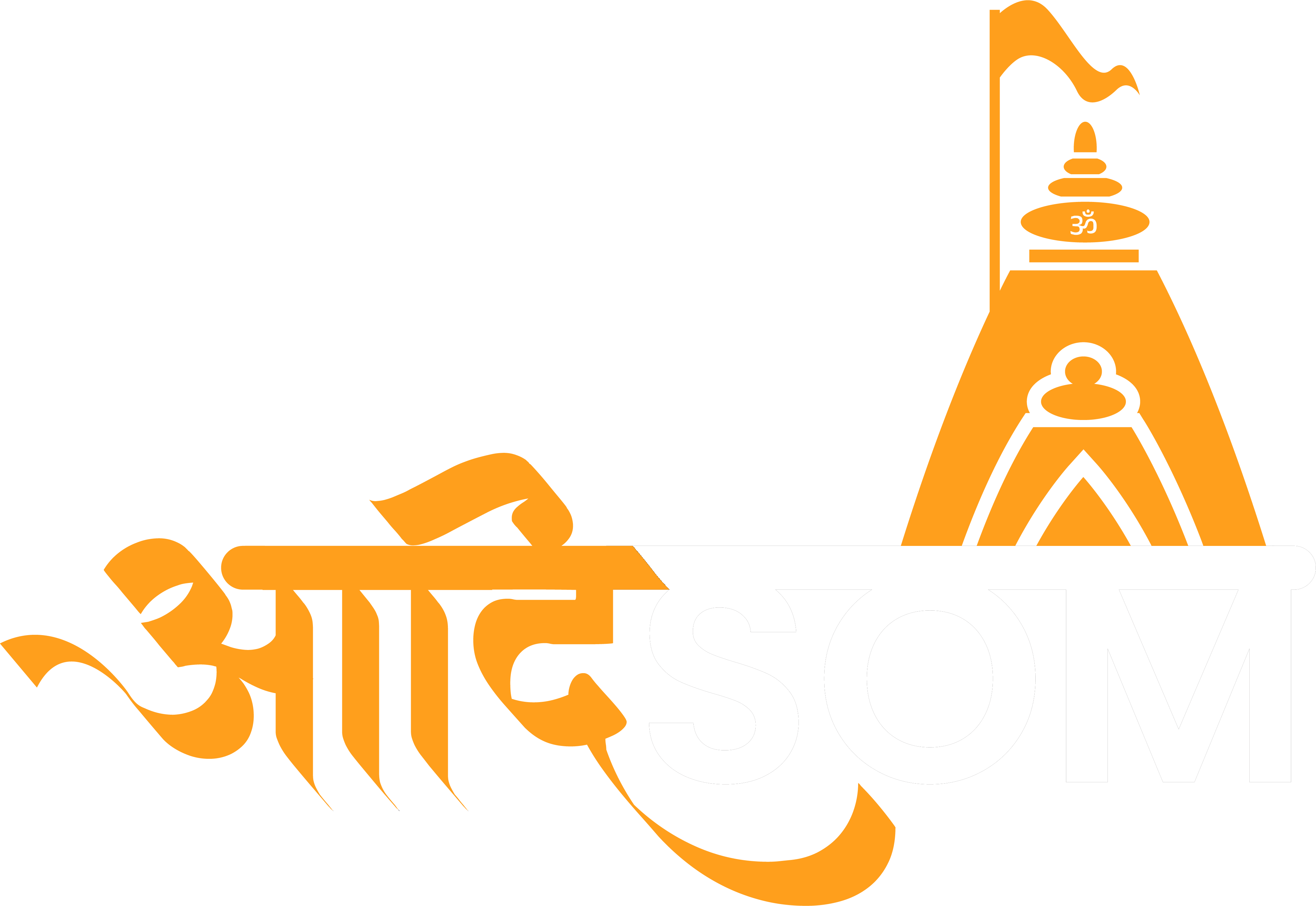 AdiSom Logo